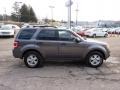 2010 Sterling Grey Metallic Ford Escape XLT 4WD  photo #5