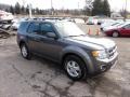 2010 Sterling Grey Metallic Ford Escape XLT 4WD  photo #6