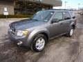 2010 Sterling Grey Metallic Ford Escape XLT 4WD  photo #8