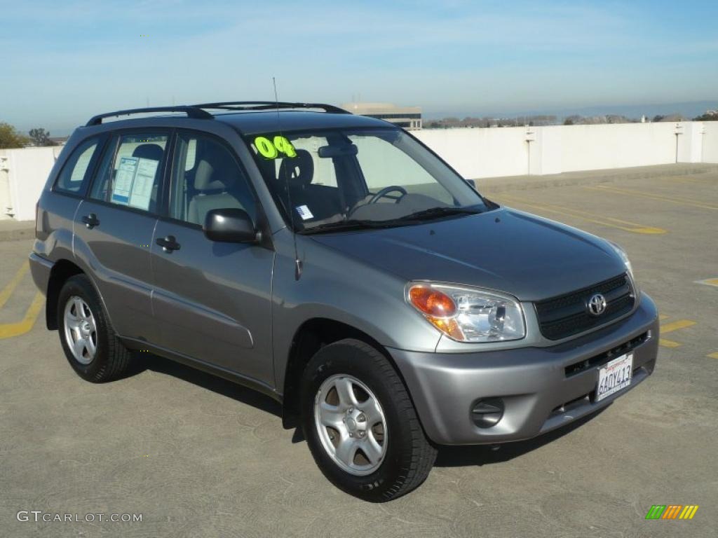 2004 RAV4  - Everglade Green Metallic / Taupe photo #1