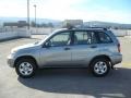 2004 Everglade Green Metallic Toyota RAV4   photo #4