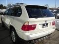 Alpine White - X5 3.0i Photo No. 6