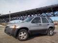 2002 Satin Silver Metallic Ford Escape XLS V6  photo #1