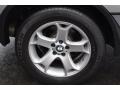 Titanium Silver Metallic - X5 3.0i Photo No. 31
