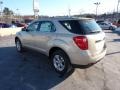 Gold Mist Metallic - Equinox LS AWD Photo No. 5