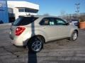 Gold Mist Metallic - Equinox LS AWD Photo No. 10