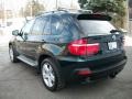 2010 Deep Green Metallic BMW X5 xDrive35d  photo #7