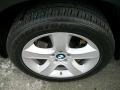 2010 BMW X5 xDrive35d Wheel and Tire Photo