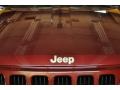 1999 Sienna Pearl Jeep Grand Cherokee Limited 4x4  photo #20