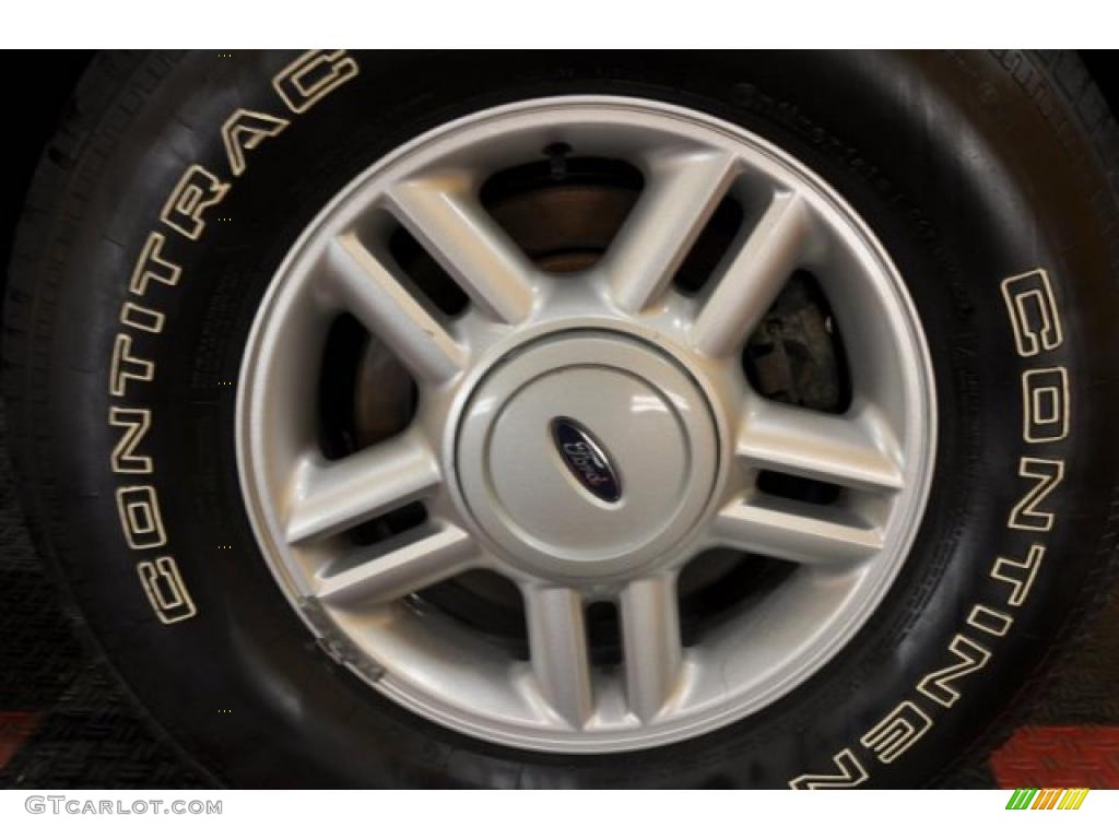 2003 Expedition XLT 4x4 - Dark Shadow Grey Metallic / Flint Grey photo #24