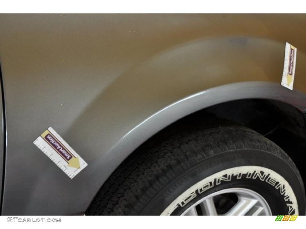 2003 Expedition XLT 4x4 - Dark Shadow Grey Metallic / Flint Grey photo #32