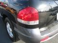 2006 Black Obsidian Hyundai Santa Fe GLS  photo #8