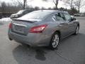 Precision Gray Metallic - Maxima 3.5 SV Photo No. 4