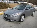 Precision Gray Metallic - Maxima 3.5 SV Photo No. 7