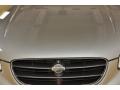 Sterling Mist Metallic - Maxima GLE Photo No. 25