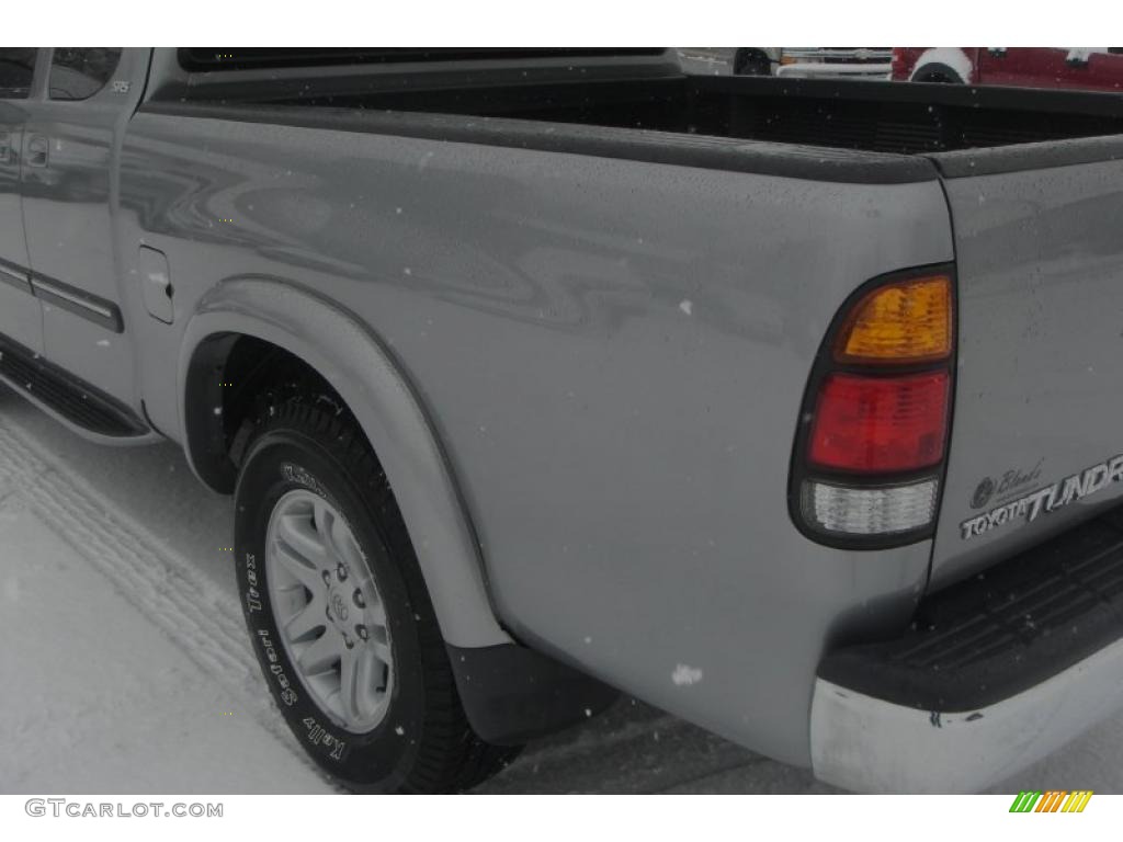 2003 Tundra SR5 Access Cab - Silver Sky Metallic / Gray photo #7