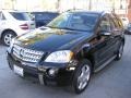 Black - ML 550 4Matic Photo No. 8