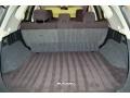 2010 Platinum Graphite Metallic Nissan Murano SL  photo #15