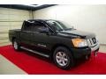  2010 Titan SE Crew Cab Galaxy Black