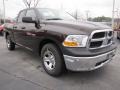 2011 Rugged Brown Pearl Dodge Ram 1500 ST Quad Cab  photo #4