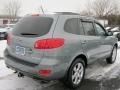 2007 Platinum Sage Hyundai Santa Fe SE 4WD  photo #2