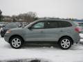 2007 Platinum Sage Hyundai Santa Fe SE 4WD  photo #13