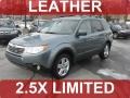 2009 Sage Green Metallic Subaru Forester 2.5 X Limited  photo #1