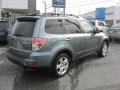 2009 Sage Green Metallic Subaru Forester 2.5 X Limited  photo #6