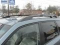 2009 Sage Green Metallic Subaru Forester 2.5 X Limited  photo #50