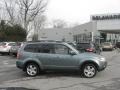 2009 Sage Green Metallic Subaru Forester 2.5 X Limited  photo #52