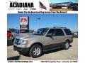 Pueblo Gold Metallic - Expedition XLT Photo No. 1