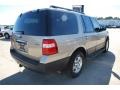 Pueblo Gold Metallic - Expedition XLT Photo No. 7