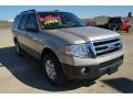 Pueblo Gold Metallic - Expedition XLT Photo No. 8
