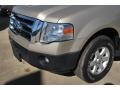 Pueblo Gold Metallic - Expedition XLT Photo No. 10