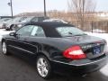 Black - CLK 350 Cabriolet Photo No. 10