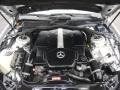 4.3 Liter SOHC 24-Valve V8 Engine for 2005 Mercedes-Benz S 430 4Matic Sedan #44928709