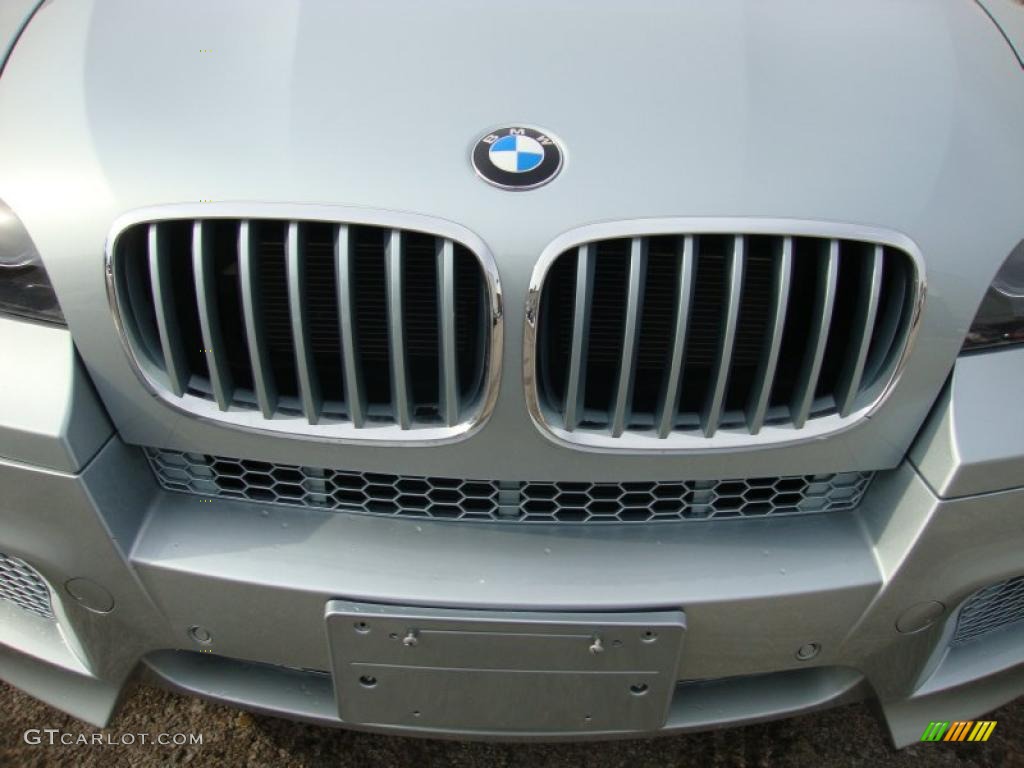 2010 X5 M  - Silverstone Metallic / Black photo #38