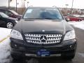 Black - ML 350 4Matic Photo No. 2