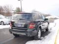 Black - ML 350 4Matic Photo No. 5