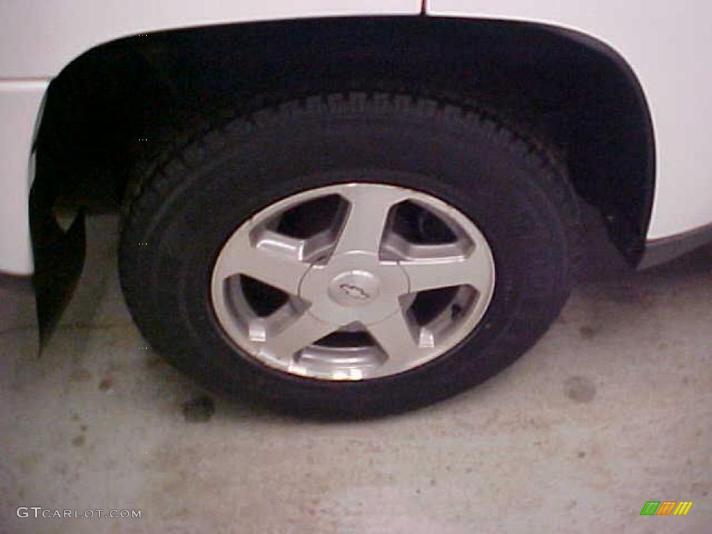 2003 TrailBlazer LS - Summit White / Medium Pewter photo #12
