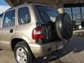 2001 Stone Beige Kia Sportage EX 4x4  photo #17