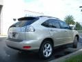 2008 Savannah Metallic Lexus RX 350  photo #6