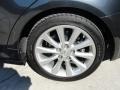 2009 Lexus IS 250 Wheel and Tire Photo