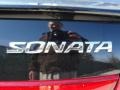 2010 Ebony Black Hyundai Sonata SE V6  photo #19