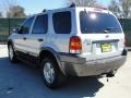 2006 Silver Metallic Ford Escape XLT V6  photo #5