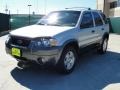 2006 Silver Metallic Ford Escape XLT V6  photo #7