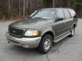 ST - Estate Green Metallic Ford Expedition (2000-2006)