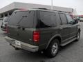 2000 Estate Green Metallic Ford Expedition Eddie Bauer 4x4  photo #4