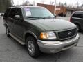 2000 Estate Green Metallic Ford Expedition Eddie Bauer 4x4  photo #5