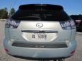 2006 Bamboo Pearl Lexus RX 330  photo #6